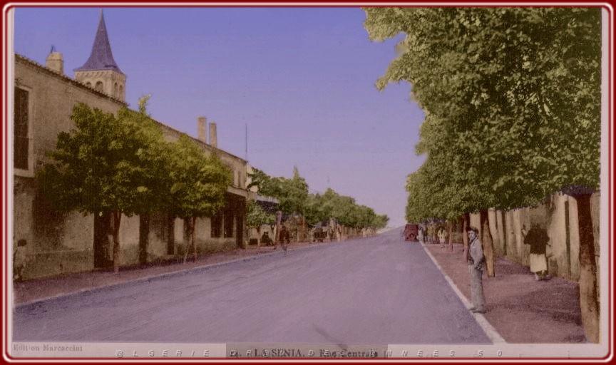 LA SENIA LA RUE CENTRALE.jpg